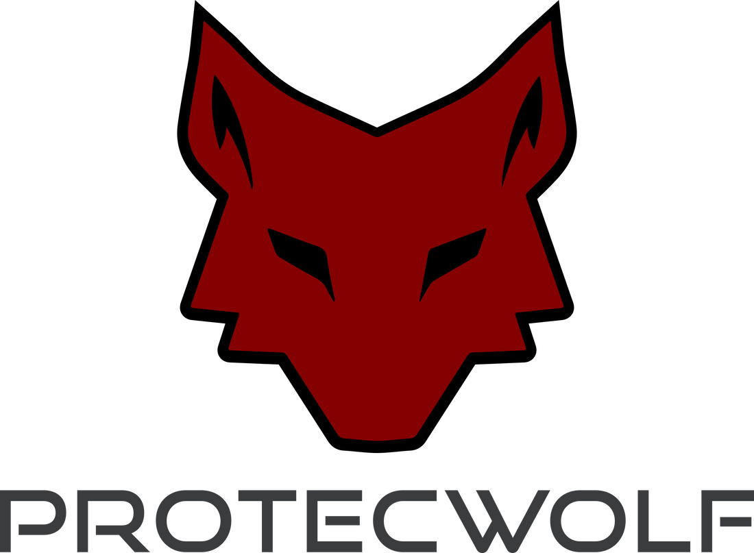 The Definitive Guide to the Protective Gaming Console Case